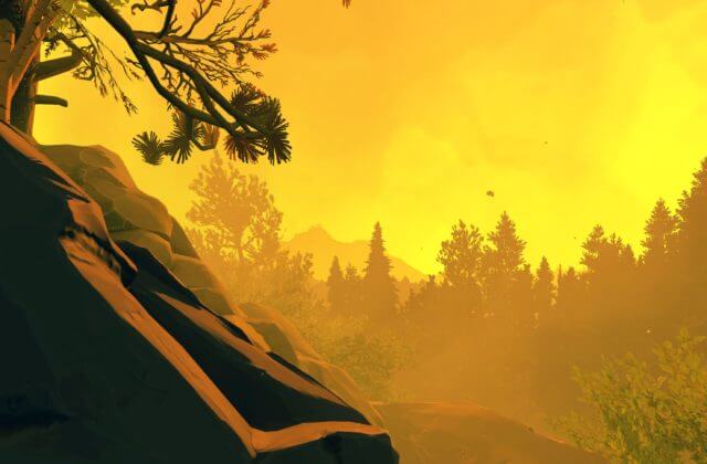 A golden glow from nearby fire calmly lights up the forest.